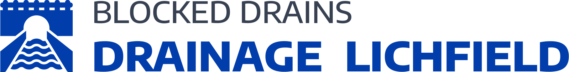 website logo